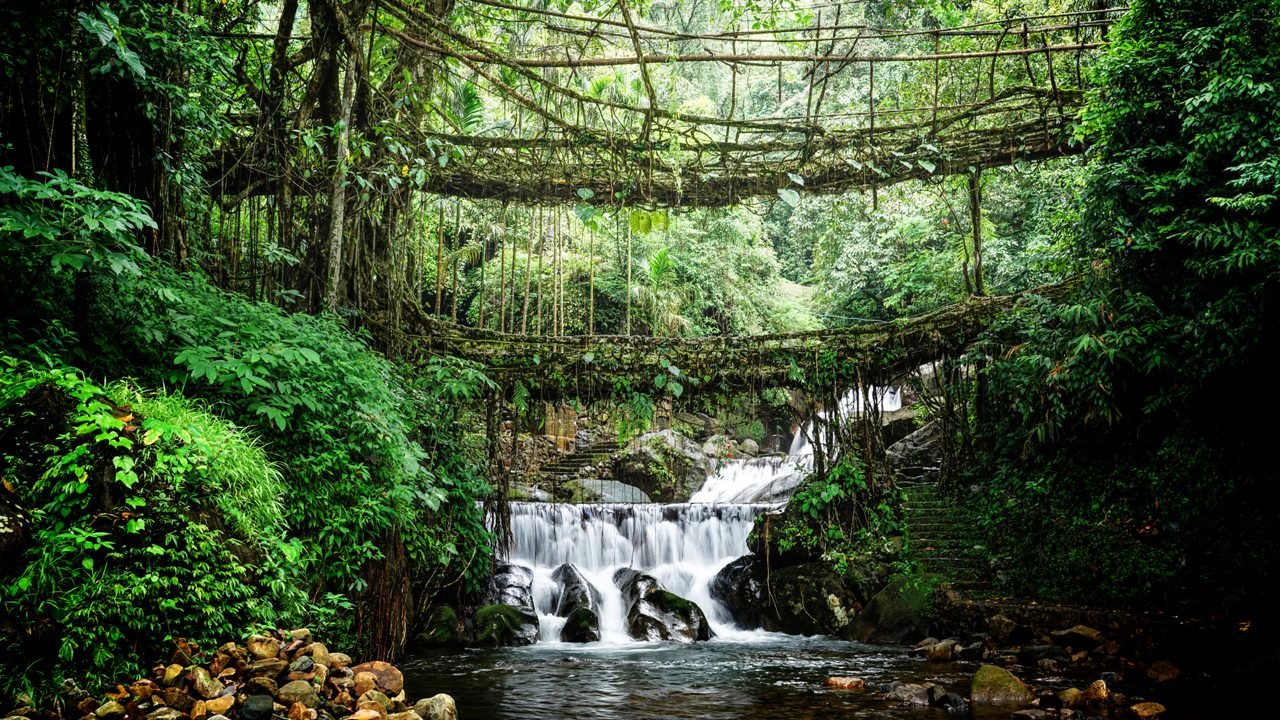 Assam and Meghalaya